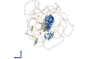 AlphaFold protein structure predicition of Mouse Recombinant Erbin Protein, UniprotID Q80TH2