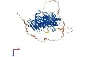 AlphaFold protein structure predicition of Human Recombinant MON1B Protein, UniprotID Q7L1V2