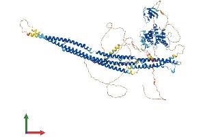 AlphaFold protein structure predicition of Human Recombinant SRGAP2 Protein, UniprotID O75044