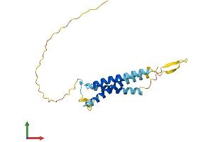 AlphaFold protein structure predicition of Human Recombinant SLC31A1 Protein, UniprotID O15431
