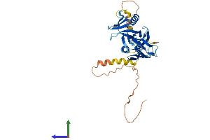 AlphaFold protein structure predicition of Human Recombinant DOK6 Protein, UniprotID Q6PKX4