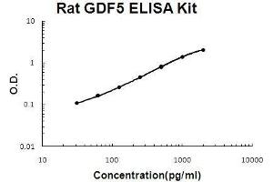 Rat GDF5 PicoKine ELISA Kit standard curve (GDF5 Kit ELISA)