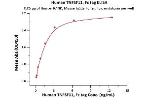Immobilized Human RANK, Mouse IgG2a Fc Tag, low endotoxin (ABIN5954944,ABIN6253593) at 0.