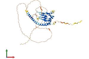 AlphaFold protein structure predicition of Mouse Recombinant Tspyl5 Protein, UniprotID Q69ZB3