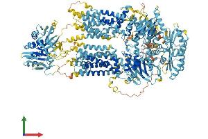 AlphaFold protein structure predicition of Mouse Recombinant Abca8b Protein, UniprotID Q8K440