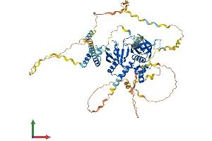AlphaFold protein structure predicition of Human Recombinant APBB1IP Protein, UniprotID Q7Z5R6