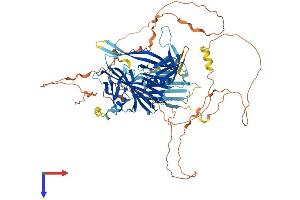 Stonin 1 (STON1) (AA 1-735) protein (His tag)