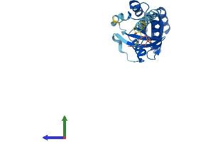 AlphaFold protein structure predicition of Human Recombinant RAB15 Protein, UniprotID P59190