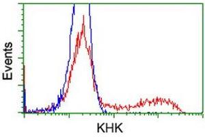 HEK293T cells transfected with either RC202424 overexpress plasmid (Red) or empty vector control plasmid (Blue) were immunostained by anti-KHK antibody (ABIN2453198), and then analyzed by flow cytometry. (Ketohexokinase anticorps)