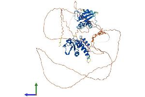 AlphaFold protein structure predicition of Human Recombinant DUSP16 Protein, UniprotID Q9BY84