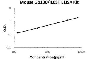 Mouse Gp130/IL6ST Accusignal ELISA Kit Mouse Gp130/IL6ST AccuSignal ELISA Kit standard curve. (CD130/gp130 Kit ELISA)