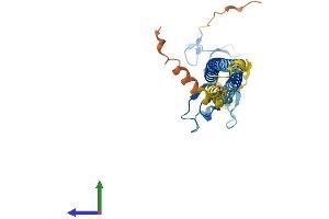 AlphaFold protein structure predicition of Human Recombinant TRIM40 Protein, UniprotID Q6P9F5