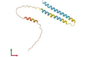 AlphaFold protein structure predicition of Human Recombinant IFITM2 Protein, UniprotID Q01629