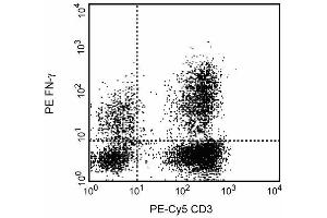 Expression of IFN-gamma by stimulated human peripheral blood mononuclear cells (PBMC).