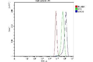 Flow Cytometry analysis of Hela cells using anti-gamma Synuclein/SNCG antibody (ABIN7602886). (SNCG anticorps  (C-Term))