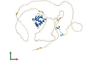 AlphaFold protein structure predicition of Human Recombinant ELK4 Protein, UniprotID P28324