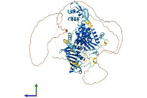 AlphaFold protein structure predicition of Human Recombinant PMS2 Protein, UniprotID P54278