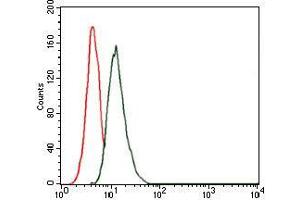 Flow cytometric analysis of MCF-7 cells using THPO mouse mAb (green) and negative control (red).