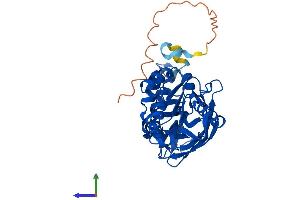AlphaFold protein structure predicition of Mouse Recombinant Prmt1 Protein, UniprotID Q9JIF0