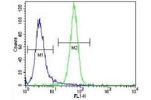 NRAS antibody flow cytometric analysis of NCI-H460 cells (green) compared to a negative control (blue).