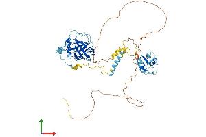 AlphaFold protein structure predicition of Human Recombinant PPIL4 Protein, UniprotID Q8WUA2