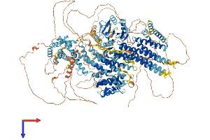 AlphaFold protein structure predicition of Human Recombinant MAP3K4 Protein, UniprotID Q9Y6R4