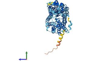 Solute Carrier Family 22, Member 27 (SLC22A27) (AA 1-551) protein (His tag)