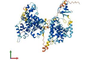 AlphaFold protein structure predicition of Human Recombinant SGSM3 Protein, UniprotID Q96HU1