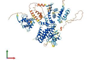 AlphaFold protein structure predicition of Mouse Recombinant Rapgef5 Protein, UniprotID Q8C0Q9