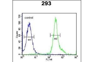 TSN3 Antibody (Center) (ABIN651749 and ABIN2840386) flow cytometric analysis of 293 cells (right histogram) comred to a negative control cell (left histogram). (Tetraspanin 3 anticorps  (AA 90-117))