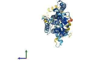 AlphaFold protein structure predicition of Mouse Recombinant Rhbdl1 Protein, UniprotID Q8VC82