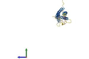 AlphaFold protein structure predicition of Mouse Recombinant Nkain4 Protein, UniprotID Q9JMG4