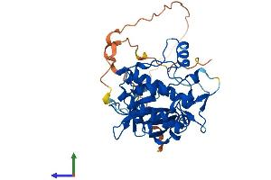 AlphaFold protein structure predicition of Human Recombinant TRIB2 Protein, UniprotID Q92519