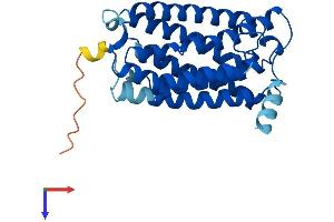 AlphaFold protein structure predicition of Human Recombinant ELOVL1 Protein, UniprotID Q9BW60