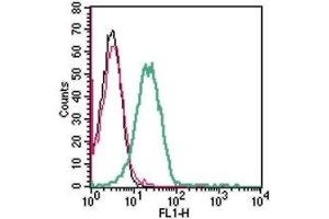 Cell surface detection of GPR174 in live intact human Jurkat T-cell leukemia cells: (black line) Cells.