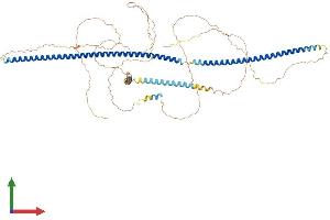 AlphaFold protein structure predicition of Human Recombinant LCA5 Protein, UniprotID Q86VQ0