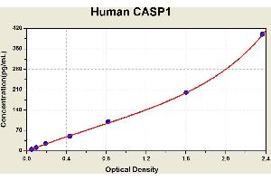 Diagramm of the ELISA kit to detect Human CASP1with the optical density on the x-axis and the concentration on the y-axis. (Caspase 1 Kit ELISA)