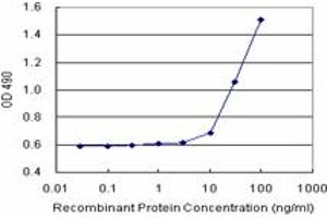 Sandwich ELISA detection sensitivity ranging from 10 ng/mL to 100 ng/mL. (NUMB (Humain) Matched Antibody Pair)