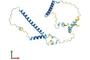 AlphaFold protein structure predicition of Mouse Recombinant Leng1 Protein, UniprotID Q9DB98