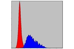 Flow cytometric analysis of HepG2 cells using FGG mouse mAb (blue) and negative control (red).
