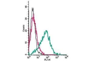 Cell surface detection of GPR39 by indirect flow cytometry in live intact human MEG-01 megakaryocytic leukemia cells: (black line) Cells.