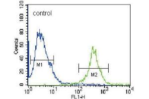 Flow Cytometry (FACS) image for anti-Fyn-Related Kinase (FRK) antibody (ABIN3003444)
