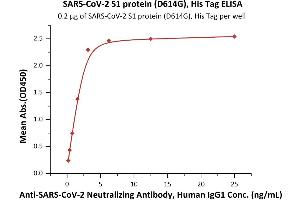 Immobilized SARS-CoV-2 S1 protein (D614G), His Tag (Cat.