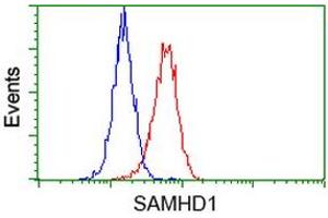 Image no. 4 for anti-SAM Domain and HD Domain 1 (SAMHD1) antibody (ABIN1500800)