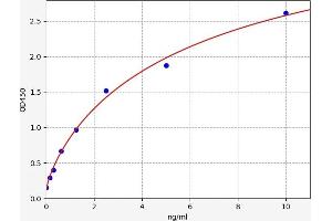 Typical standard curve