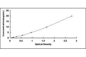 Cysteinyl Leukotriene Receptor 2 (CYSLTR2) ELISA Kit