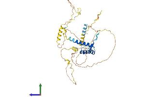 AlphaFold protein structure predicition of Mouse Recombinant Nkx2-3 Protein, UniprotID P97334