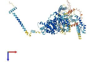 AlphaFold protein structure predicition of Mouse Recombinant Snx13 Protein, UniprotID Q6PHS6