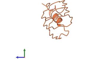 AlphaFold protein structure predicition of Human Recombinant KRTAP21-2 Protein, UniprotID Q3LI59