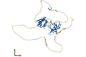 AlphaFold protein structure predicition of Mouse Recombinant Plekha2 Protein, UniprotID Q9ERS5